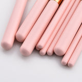 Candy Pink Makeup Brushes